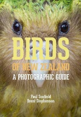 Birds of New Zealand
