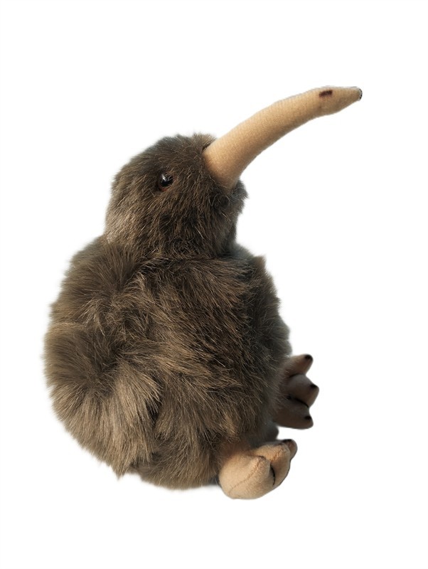 Kiwi - small