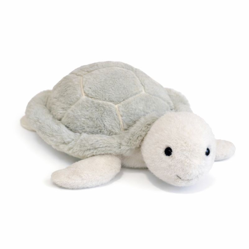 Lily & George - Nori the Turtle