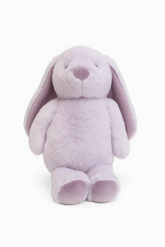 Lily & George - Littlefoot Bunny
