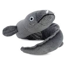 Ellie the Longfin Eel