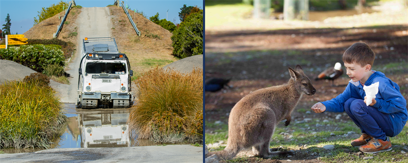 Visit the Antarctic Centre and Willowbank Wildlife