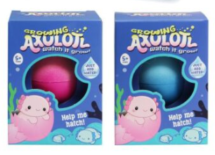 Growing Egg - Axolotl