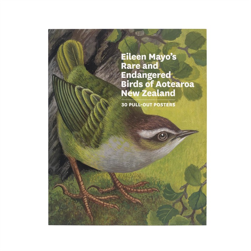 Rare and Endangered birds of Aotearoa New Zealand