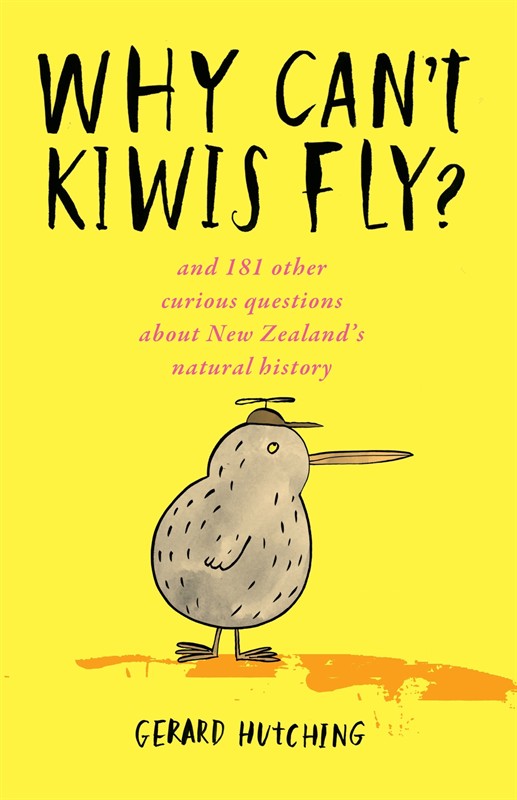 Why can't kiwis fly?
