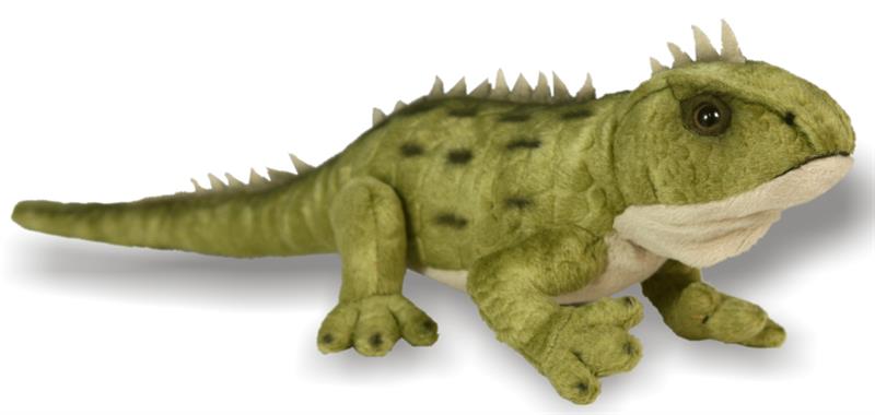 Tuatara with sound 37 cm