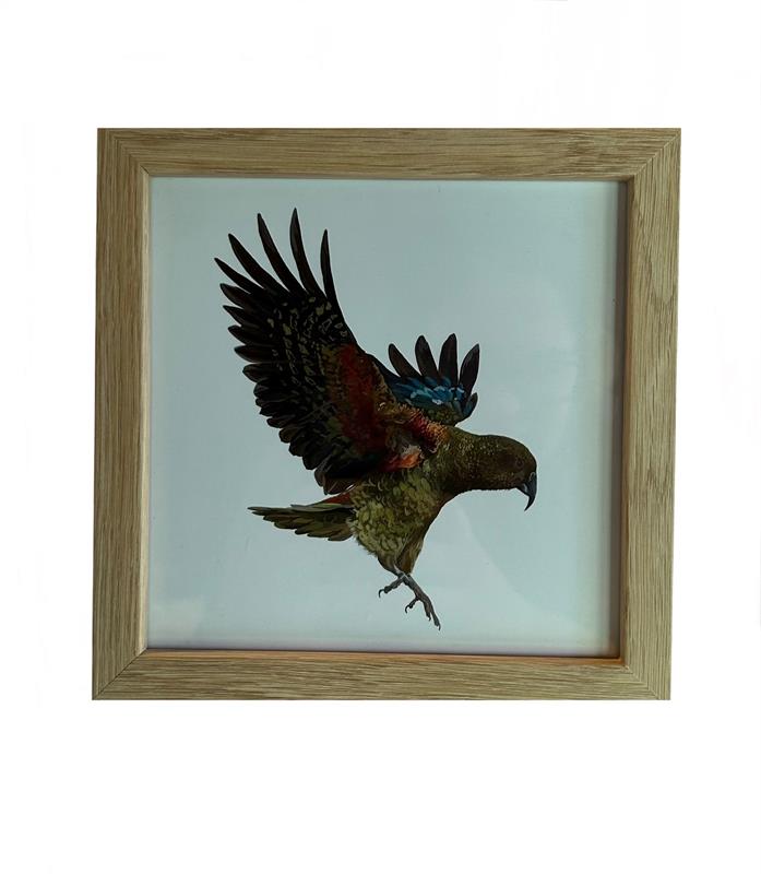 Kea Frame - Large